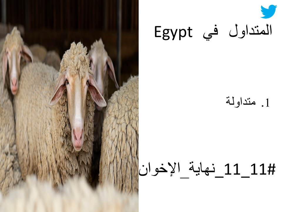 تريند 11-11 نهاية الإخوان يتصدر تويتر